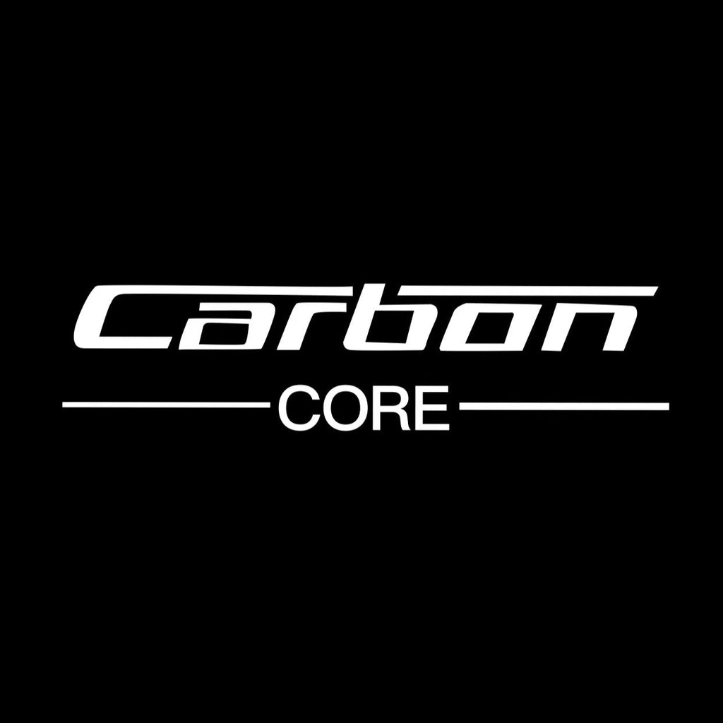 BMW Carbon  LOGO PROJECTOT LIGHTS (quantity 1 = 1 sets/2 door lights)Nr.bmw00331