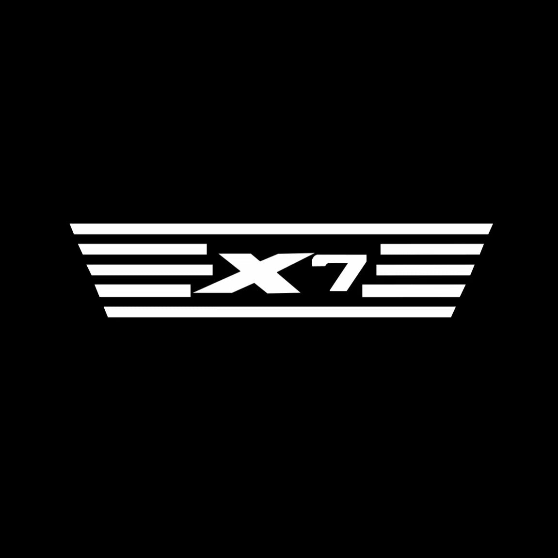 BMW  X7 LOGO PROJECTOT LIGHTS (quantity 1 = 1 sets/2 door lights)Nr.bmw0075