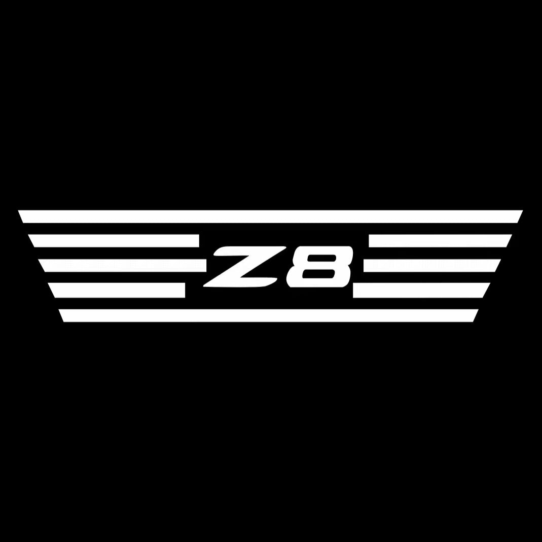 BMW  Z8  LOGO PROJECTOT LIGHTS (quantity 1 = 1 sets/2 door lights)Nr.bmw00136