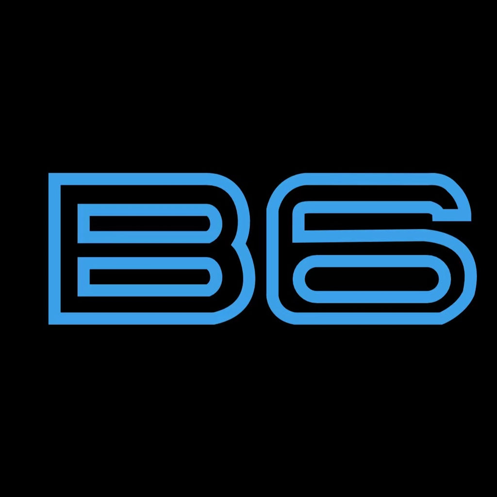 ALPINA B6 LOGO PROJECTOT LIGHTS  (quantity 1 = 1 sets/2 door lights)Nr.099B010