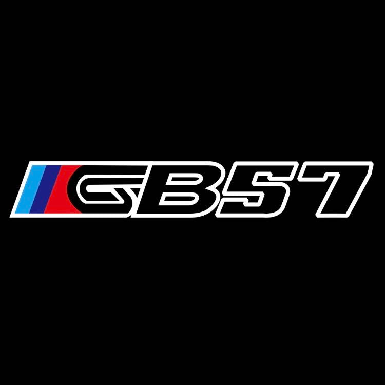 BMW  B57  LOGO PROJECTOT LIGHTS (quantity 1 = 1 sets/2 door lights)Nr.bmw00395