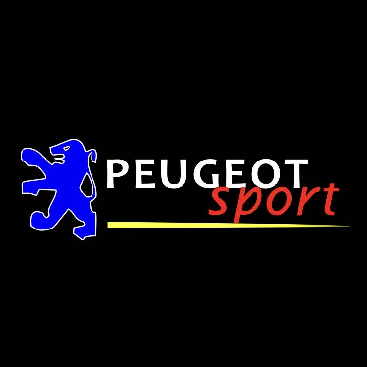 PEUGEOT ORIGINAL LOGO PROJECTOT LIGHTS Nr.30002 (quantità 1 = 2 pellicole logo /2 luci porta） 