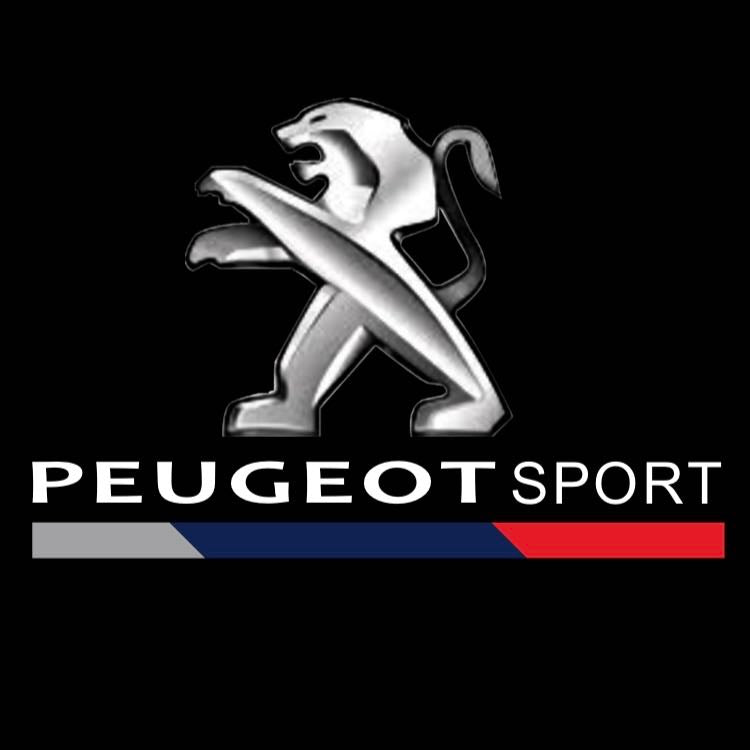 PEUGEOT ORIGINAL LOGO PROJECTOT LIGHTS Nr.30002 (Menge 1 = 2 Logofolien /2 Türleuchten） 