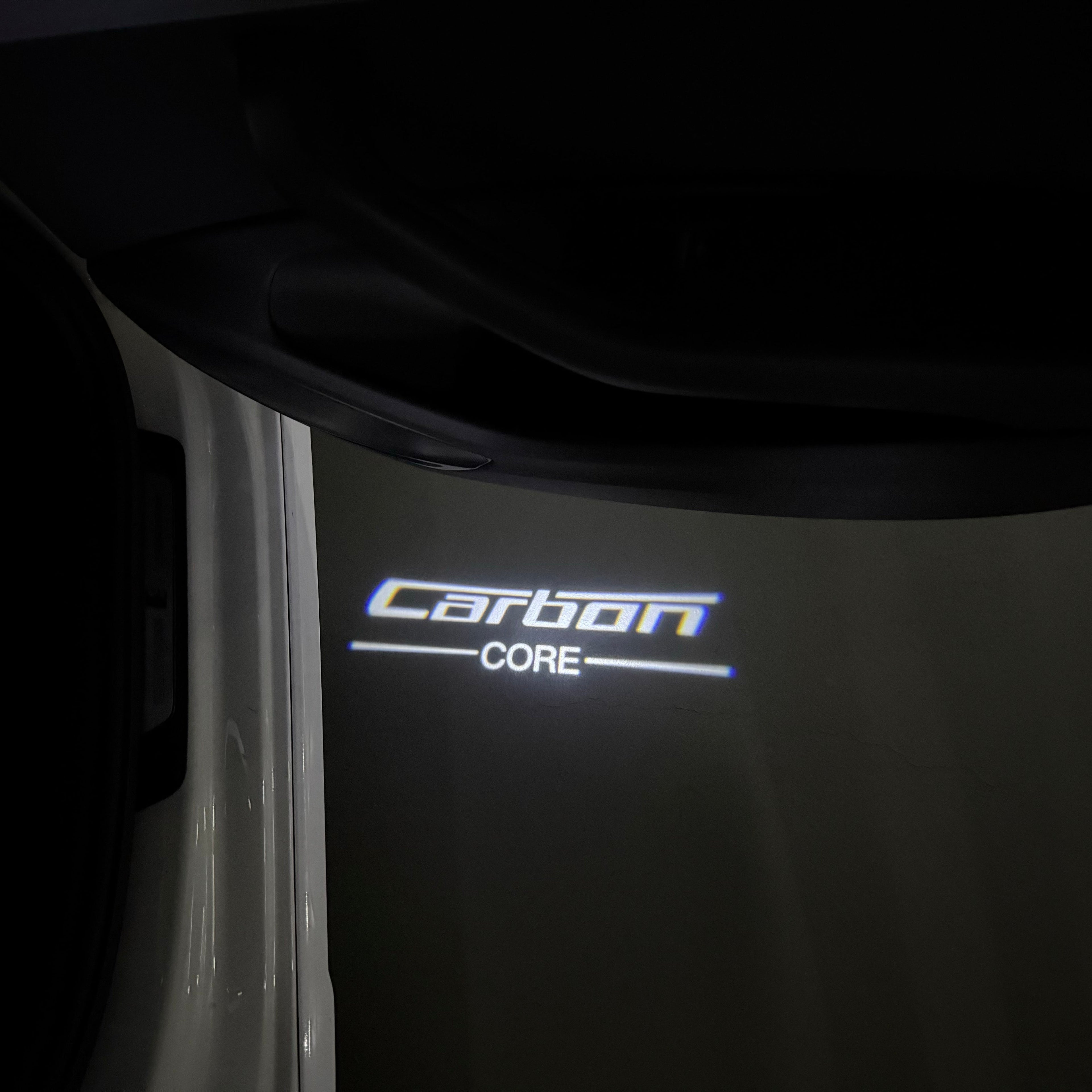 BMW Carbon  LOGO PROJECTOT LIGHTS (quantity 1 = 1 sets/2 door lights)Nr.bmw00331