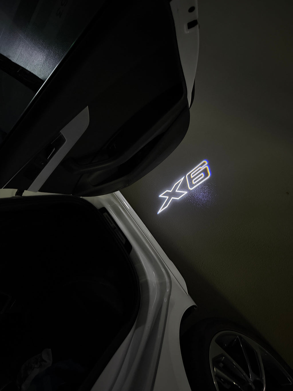 BMW X6  LOGO PROJECTOT LIGHTS (quantity 1 = 1 sets/2 door lights)Nr.bmw0028