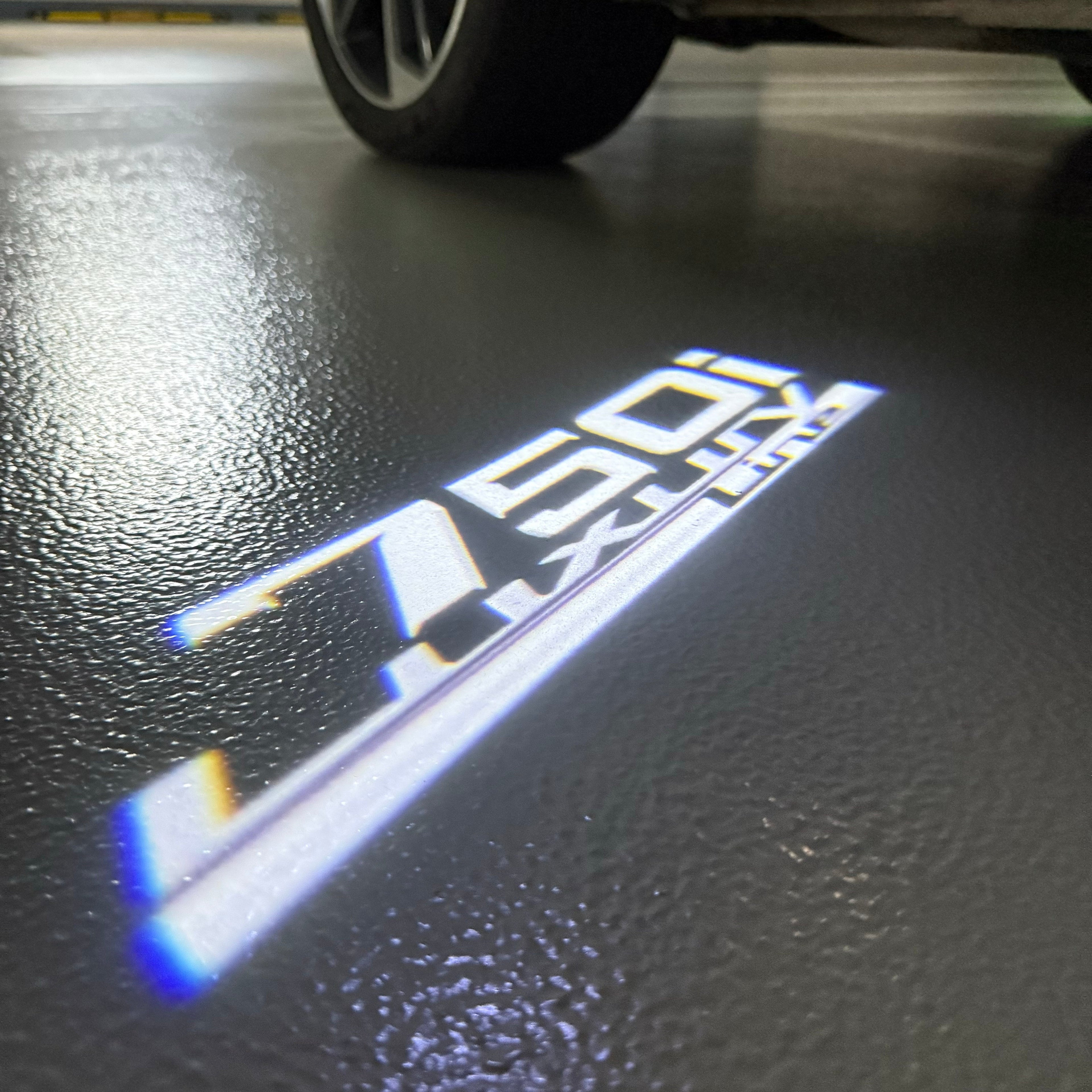 BMW   7 SERIES 750 i  LOGO PROJECTOT LIGHTS (quantity 1 = 1 sets/2 door lights)Nr.bmw00310