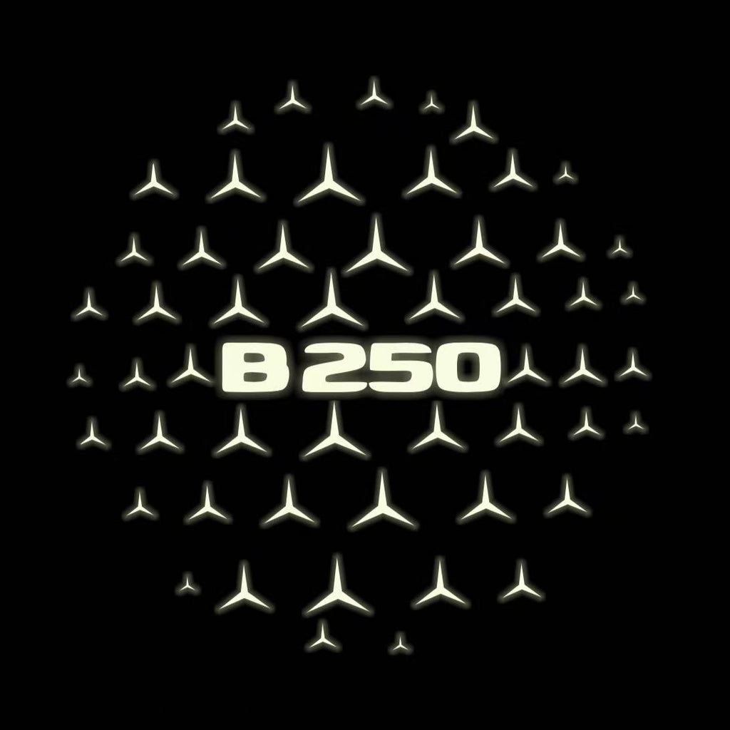 MERCEDES BENZ B250 LOGO PROJECTOT LIGHTS  (quantity 1 = 1 set /2 door lights with 2 logo films)Nr.02M16TTTTT