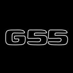 MERCEDES BENZ G55 LOGO PROJECTOT LIGHTS  (quantity 1 = 1 set /2 door lights with 2 logo films)Nr.02M107