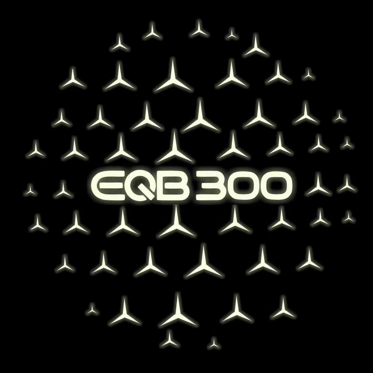 MERCEDES BENZ EQB 300 LOGO PROJECTOT LIGHTS  (quantity 1 = 1 set /2 door lights with 2 logo films)Nr.02M161