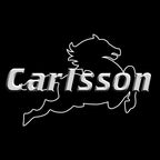 MERCEDES BENZ CARLSSON LOGO PROJECTOT LIGHTS  (quantity 1 = 1 set /2 door lights with 2 logo films)Nr.02M241