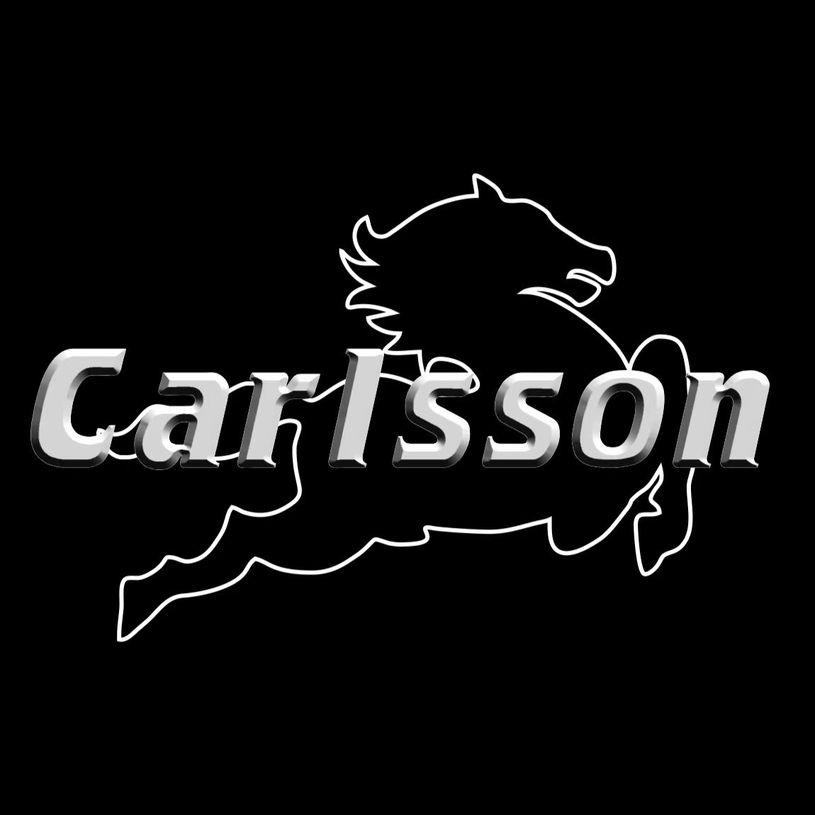 MERCEDES BENZ CARLSSON LOGO PROJECTOT LIGHTS  (quantity 1 = 1 set /2 door lights with 2 logo films)Nr.02M241