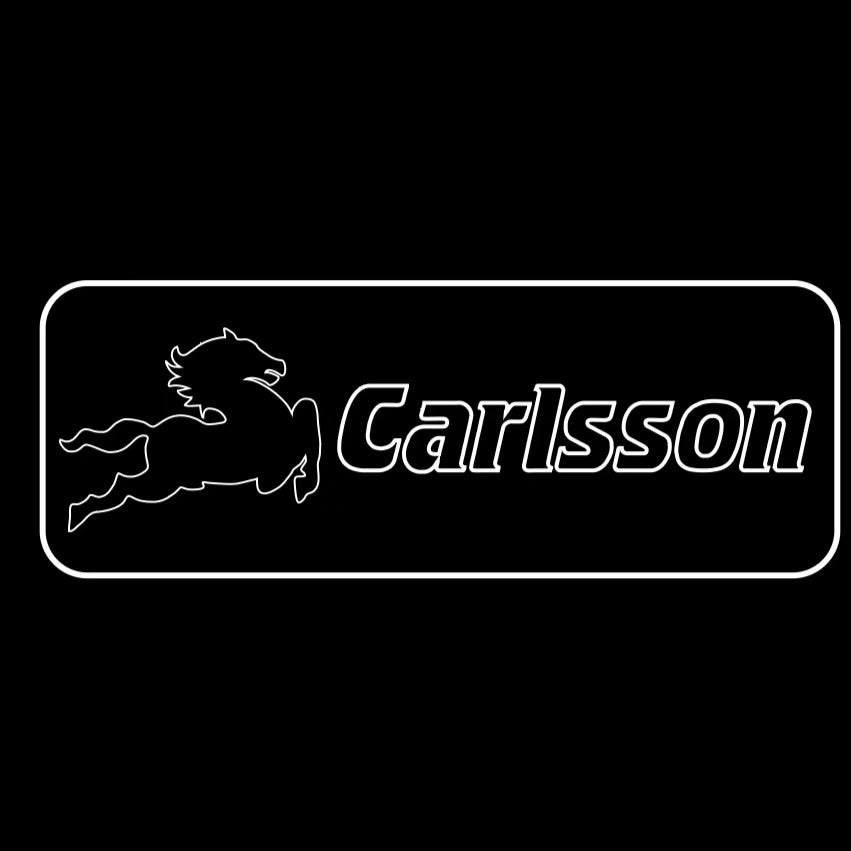 MERCEDES BENZ CARLSSON LOGO PROJECTOT LIGHTS  (quantity 1 = 1 set /2 door lights with 2 logo films)Nr.02M242
