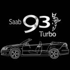 SAAB  Original LOGO PROJECROTR LIGHTS Nr.25184  (quantity 1 = 1 sets/2 door lights)