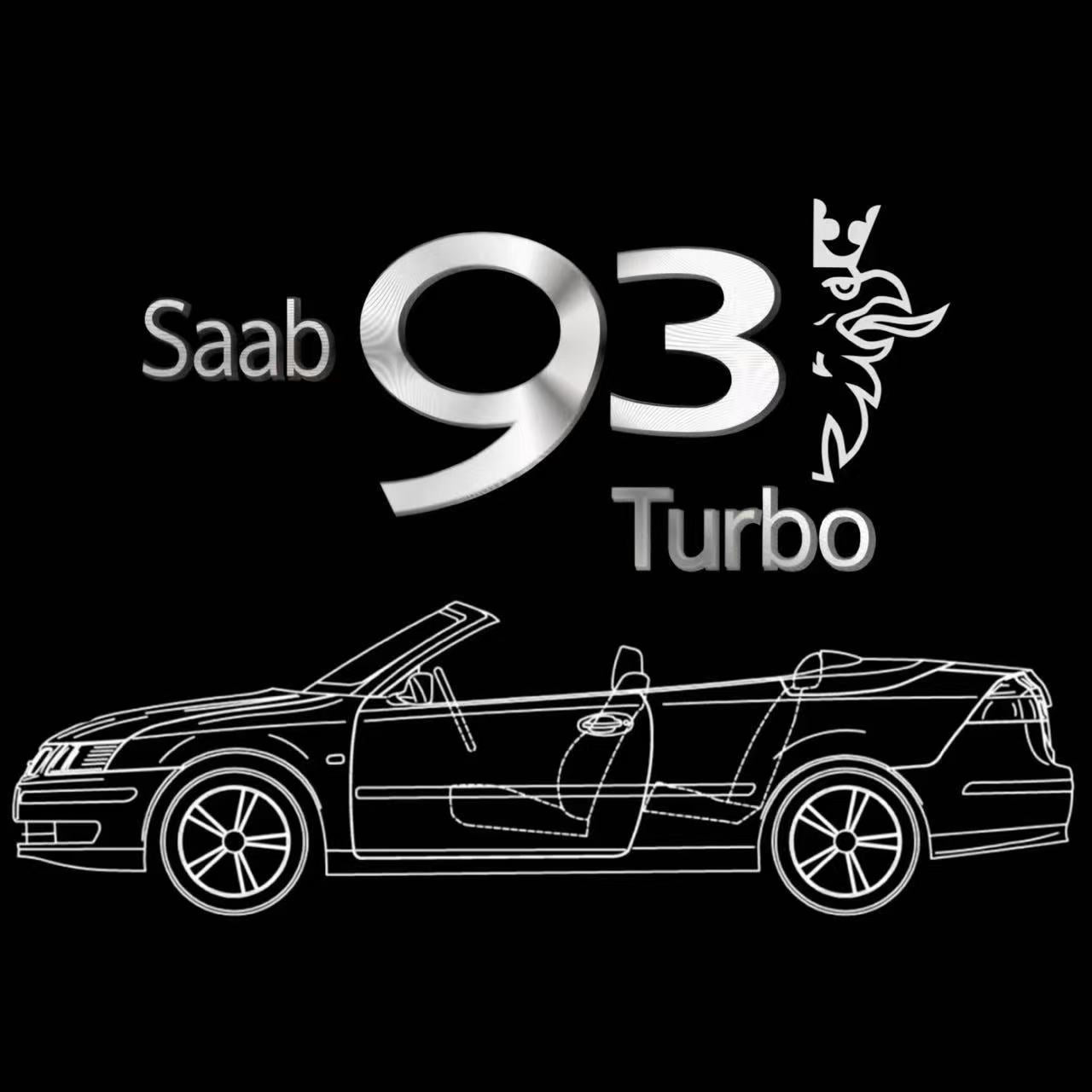 SAAB  Original LOGO PROJECROTR LIGHTS Nr.25184  (quantity 1 = 1 sets/2 door lights)