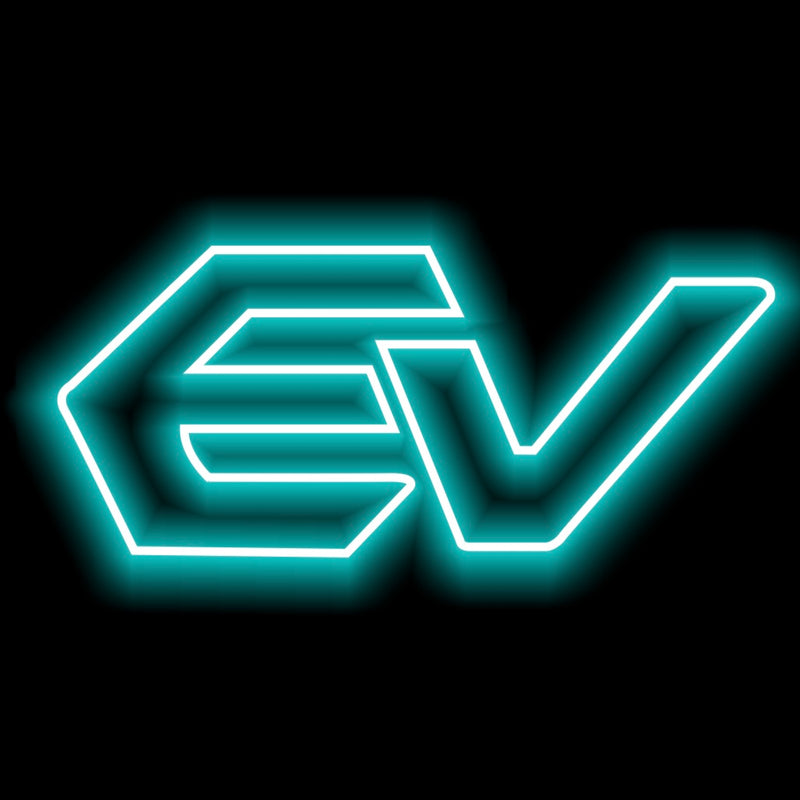 SUBARU LOGO PROJECROTR LIGHTS Nr.03 (Menge 1 = 1 Satz/2 Türleuchten) 