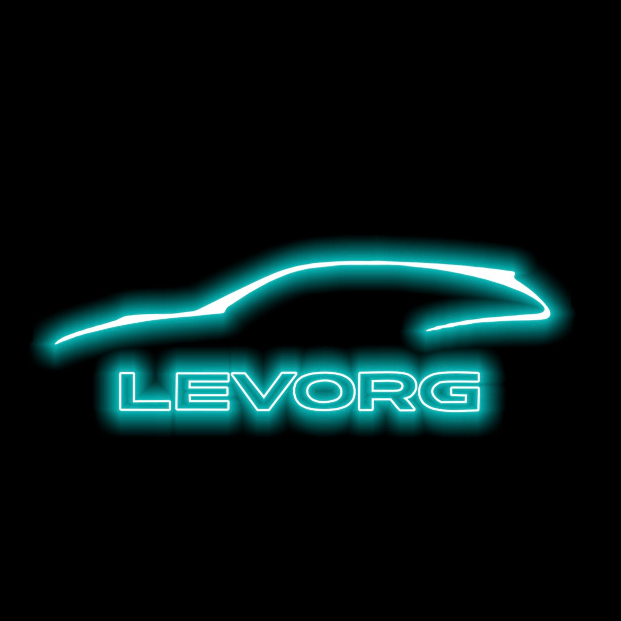 SUBARU LEVORG LOGO PROJECROTR LIGHTS (quantity 1 = 1 sets/2 door lights) Nr.03d9