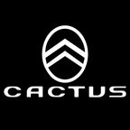 CITROËN CACTUS LOGO PROJECTOT LIGHTS (quantity 1 = 2 Logo Films /2 door lights）Nr.2805S13b1f1w2