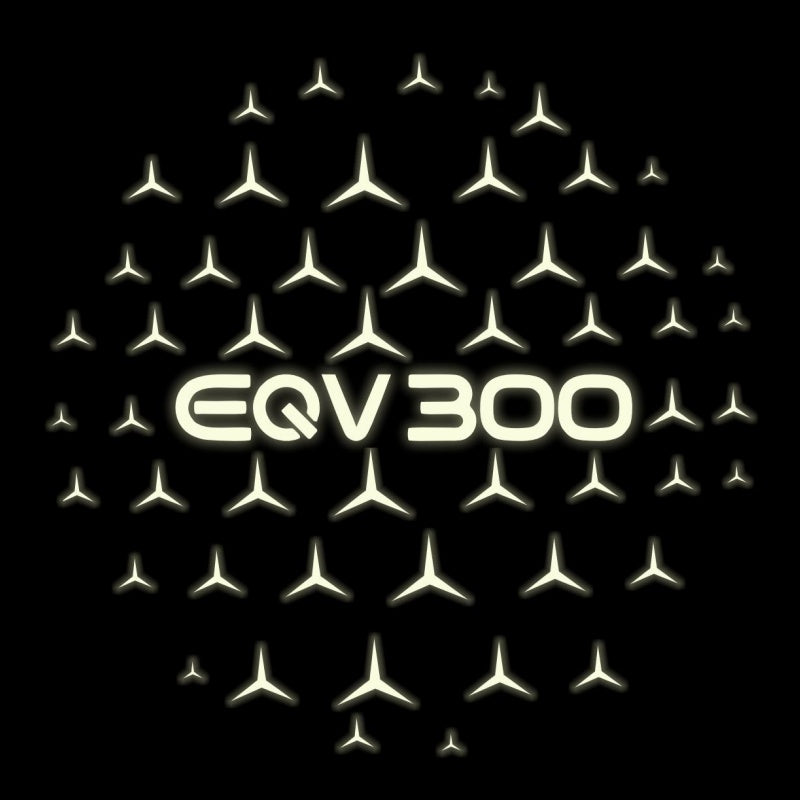 MERCEDES BENZ EQV 300  LOGO PROJECTOT LIGHTS  (quantity 1 = 1 set /2 door lights with 2 logo films)Nr.02M149