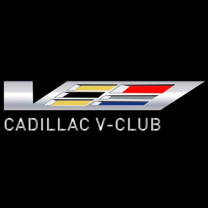 CADILLAC ORIGINAL LOGO PROJECTOT LIGHTS Nr.256 (quantità 1 = 2 pellicole logo /2 luci porta） 