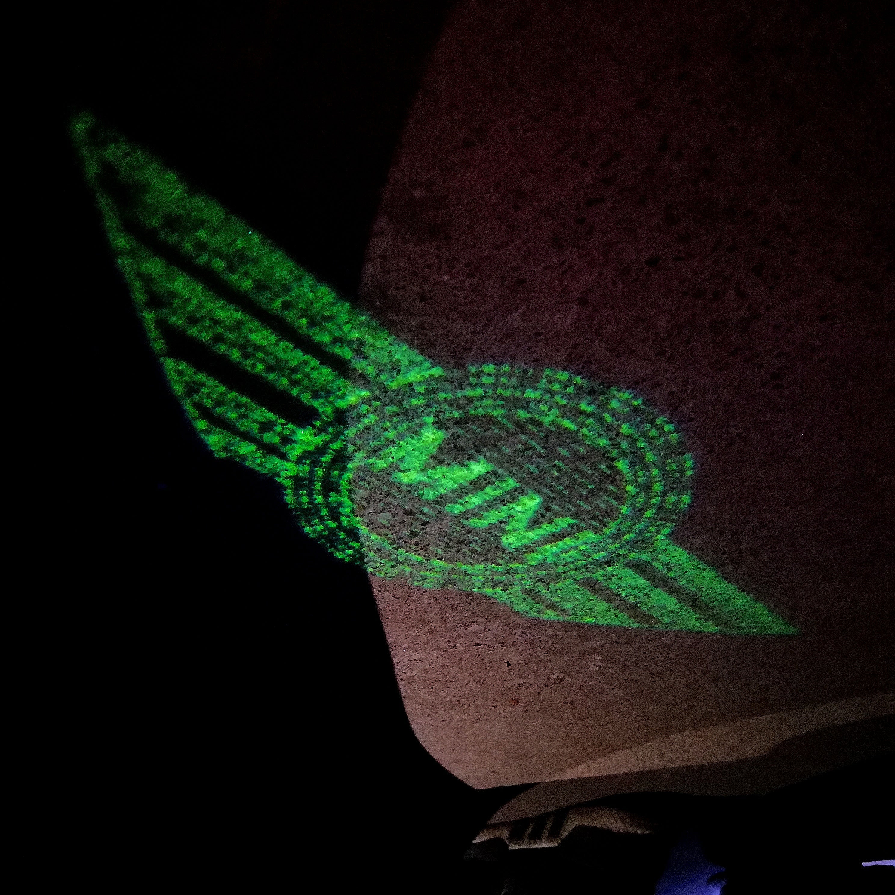 MINI ORIGINAL LOGO PROJECROTR LIGHTS Nr.58 (quantity  1 =  2 Logo Film /  2 door lights)