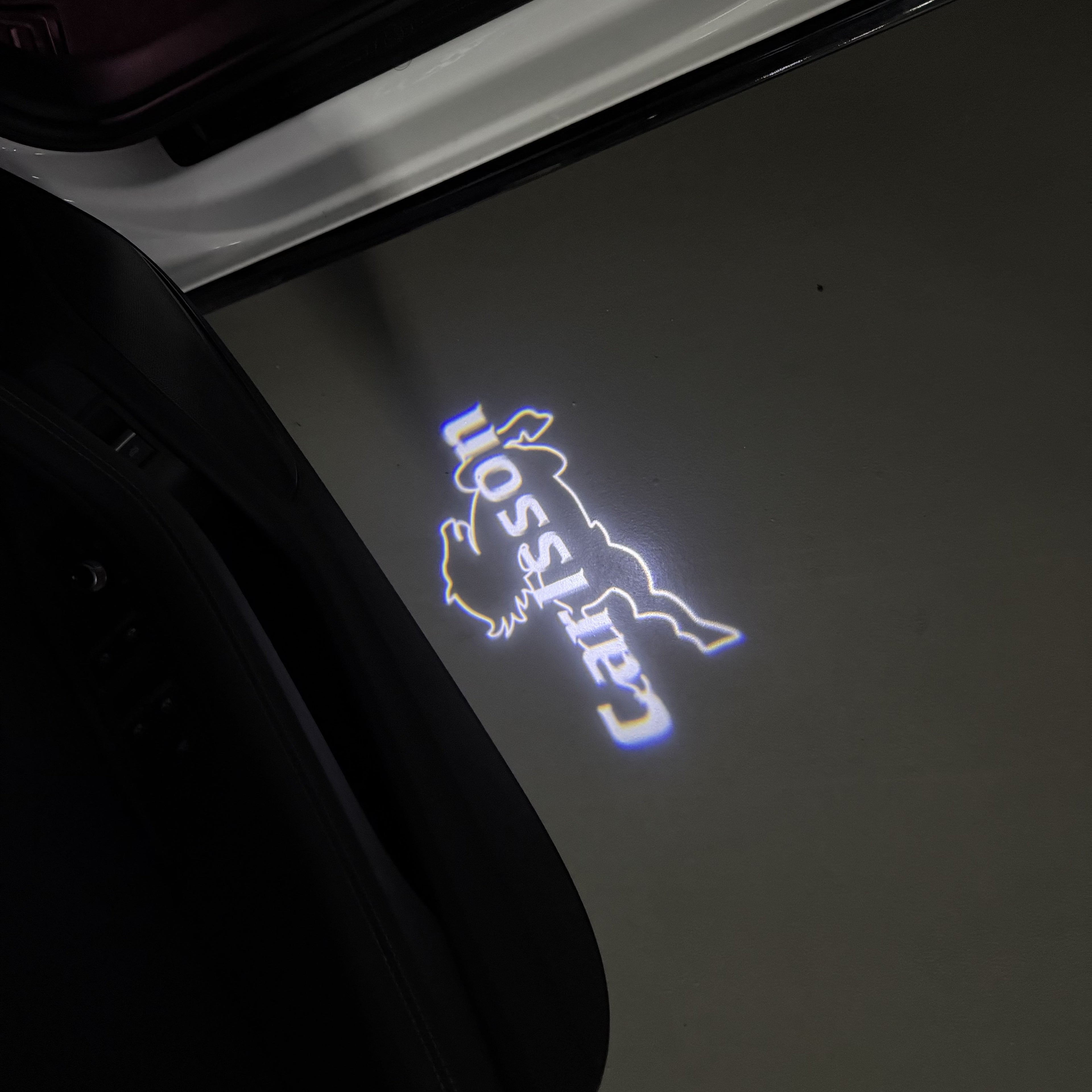 MERCEDES BENZ CARLSSON LOGO PROJECTOT LIGHTS  (quantity 1 = 1 set /2 door lights with 2 logo films)Nr.02M241