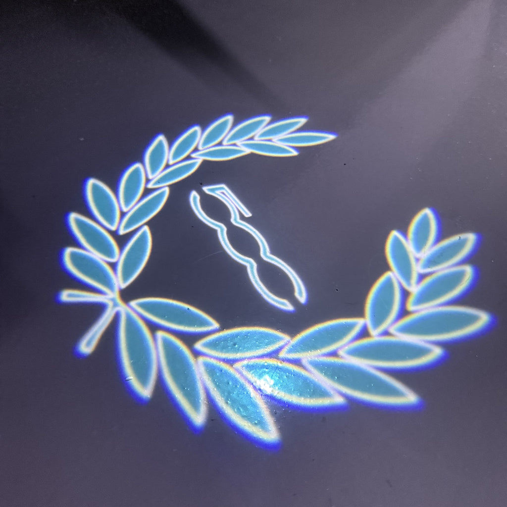 FIAT 500 LOGO PROJECTOT LIGHTS  (quantity  1 =  2 Logo Film /  2 door lights)Nr.48ER25