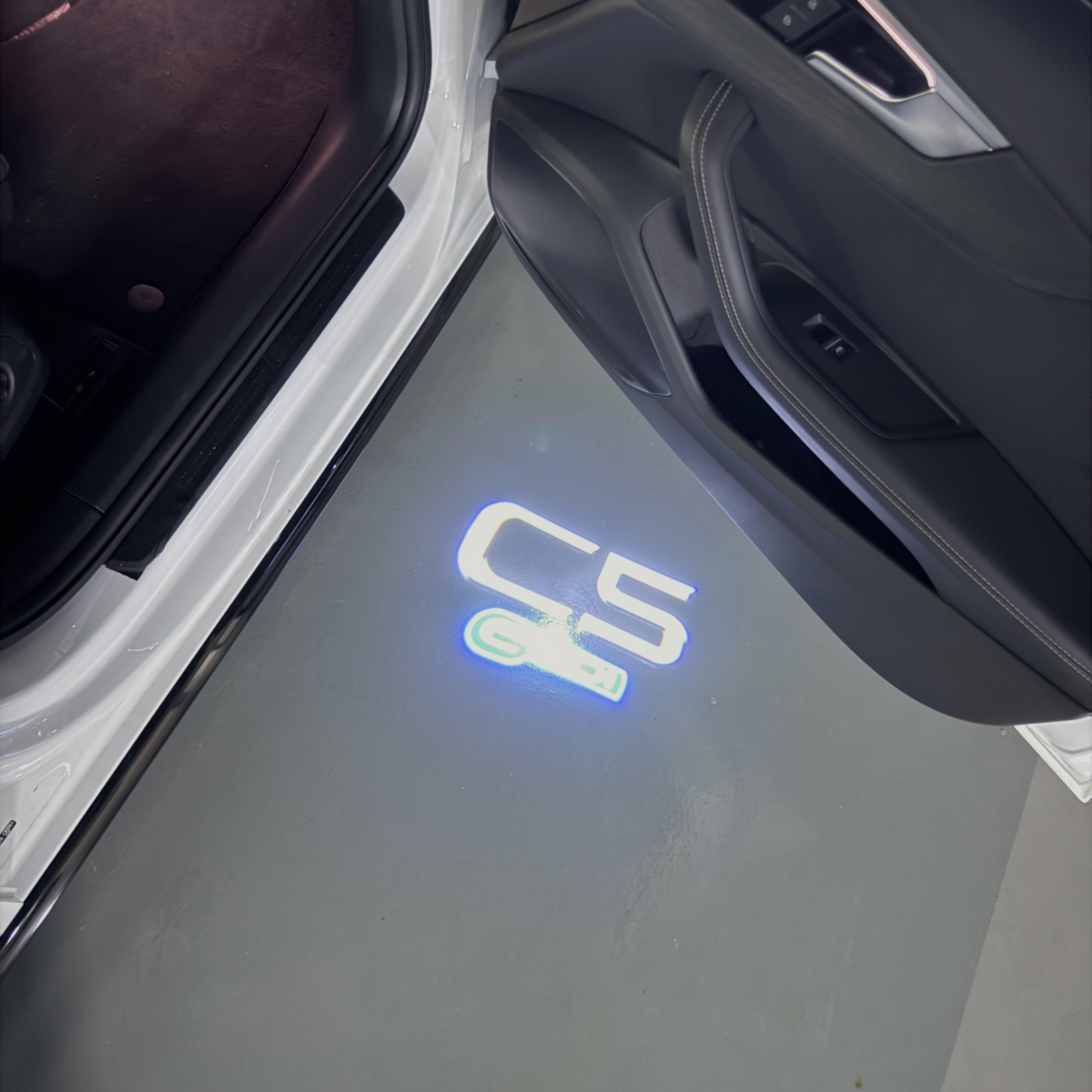 CITROËN C5 LOGO PROJECTOT LIGHTS    (quantity 1 = 2 Logo Films /2 door lights）Nr.2805So16