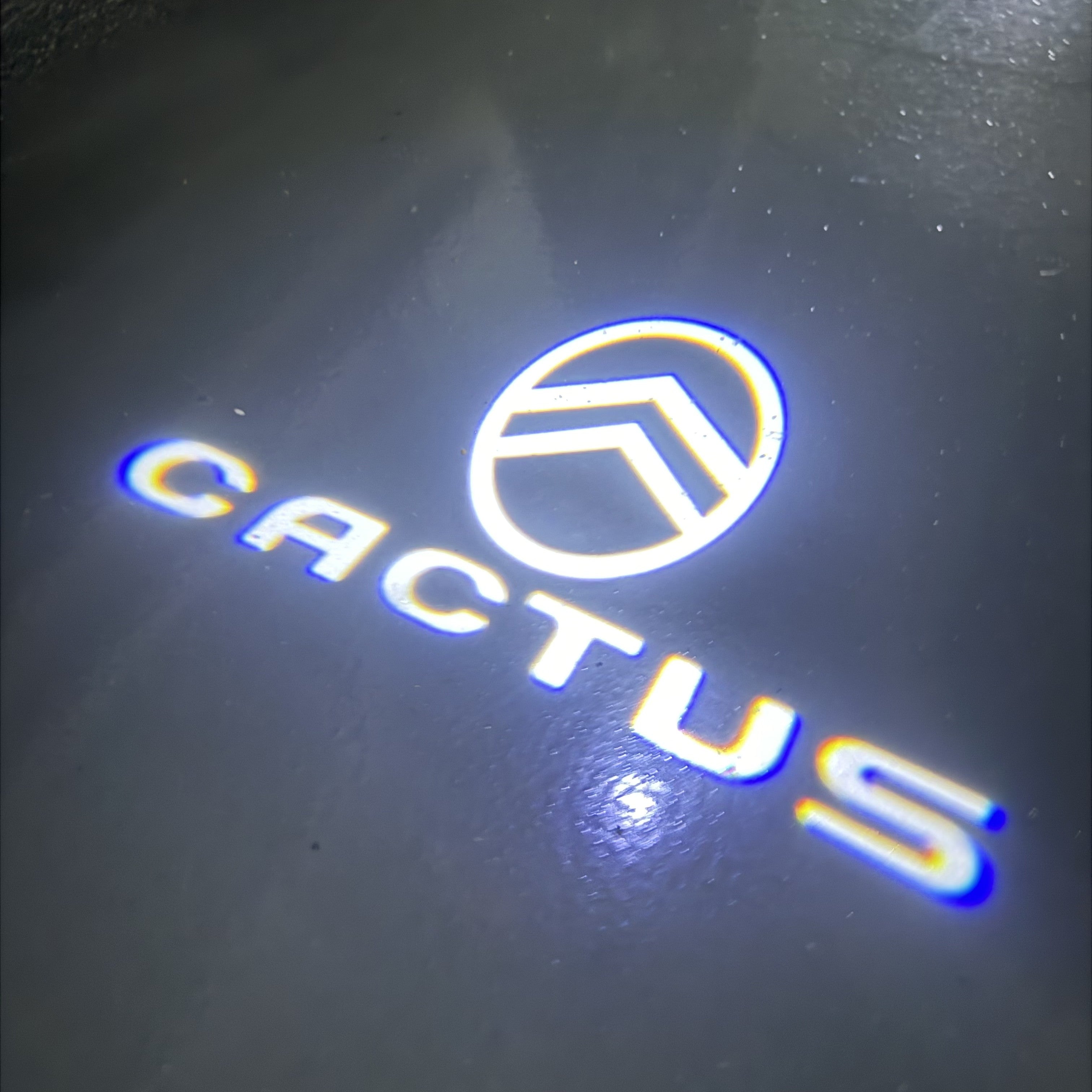 CITROËN CACTUS LOGO PROJECTOT LIGHTS (quantity 1 = 2 Logo Films /2 door lights）Nr.2805S13b1f1w2
