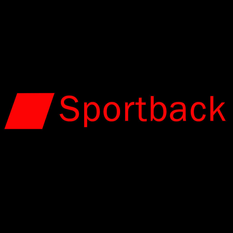 AUDI SPORTBACK LOGO PROJECTOT LIGHTS Nr.110 (Menge 1 = 2 Logofolien /2 Türleuchten） 