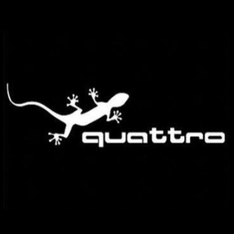 AUDI QUATTRO GECKO LOGO PROJECTOT LIGHTS Nr.62 (Menge 1 = 2 Logofolien /2 Türleuchten） 