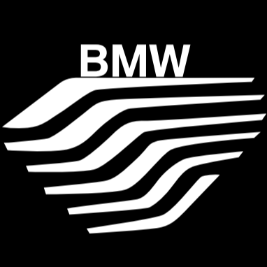 BMW Original LOGO PROJECTOT LIGHTS Nr.6001