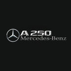 MERCEDES BENZ A250 LOGO PROJECTOT LIGHTS  (quantity 1 = 1 set /2 door lights with 2 logo films)Nr.02M034