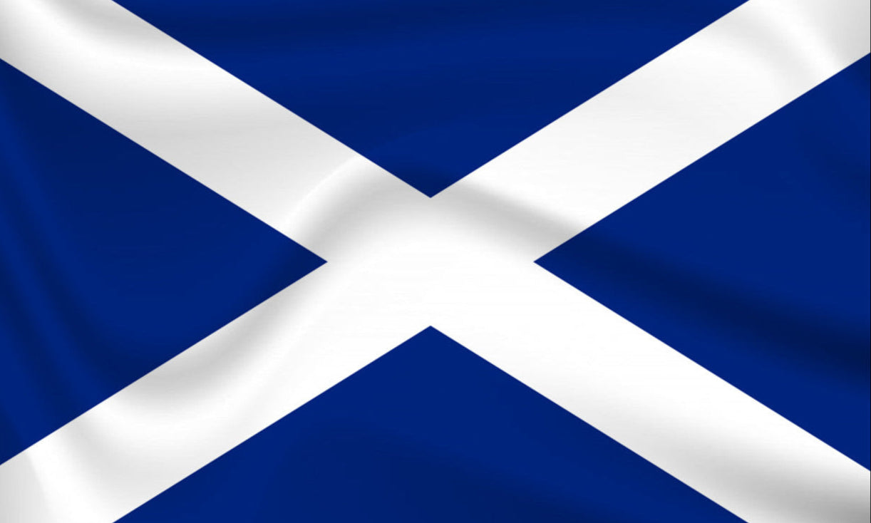 Scotland National Flag  logo door lights (quantity 1 = 1 sets / 2 logo film /  Can replace of lights  other logos )