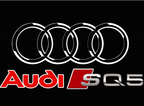 AUDI SQ5 LOGO PROJECTOT LIGHTS Nr.253  (quantity 1 = 2 Logo Films /2 door lights）