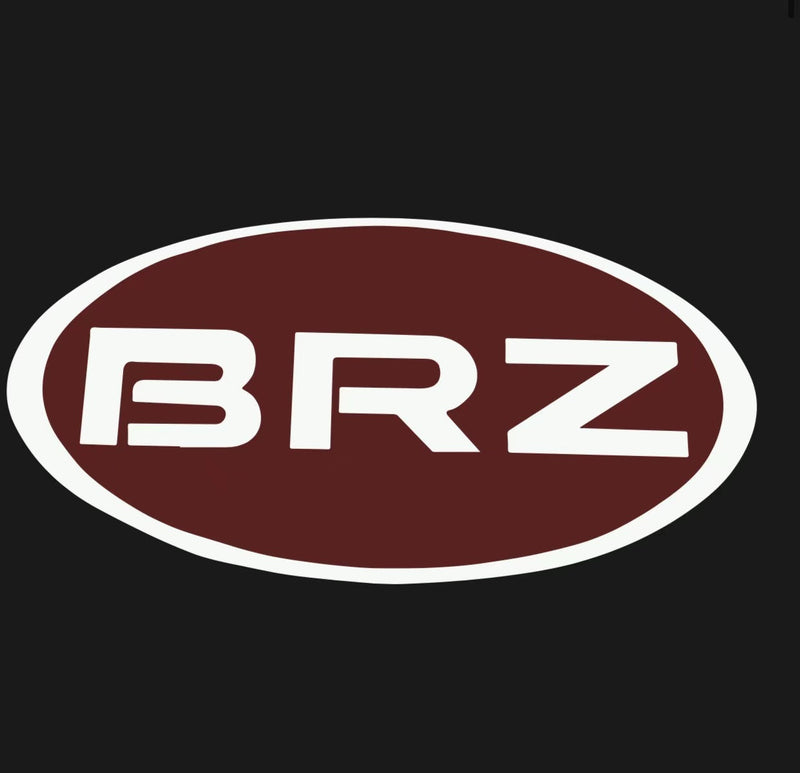 BRZ LOGO PROJECROTR LIGHTS Nr.03 (quantità 1 = 1 set/2 luci porta) 