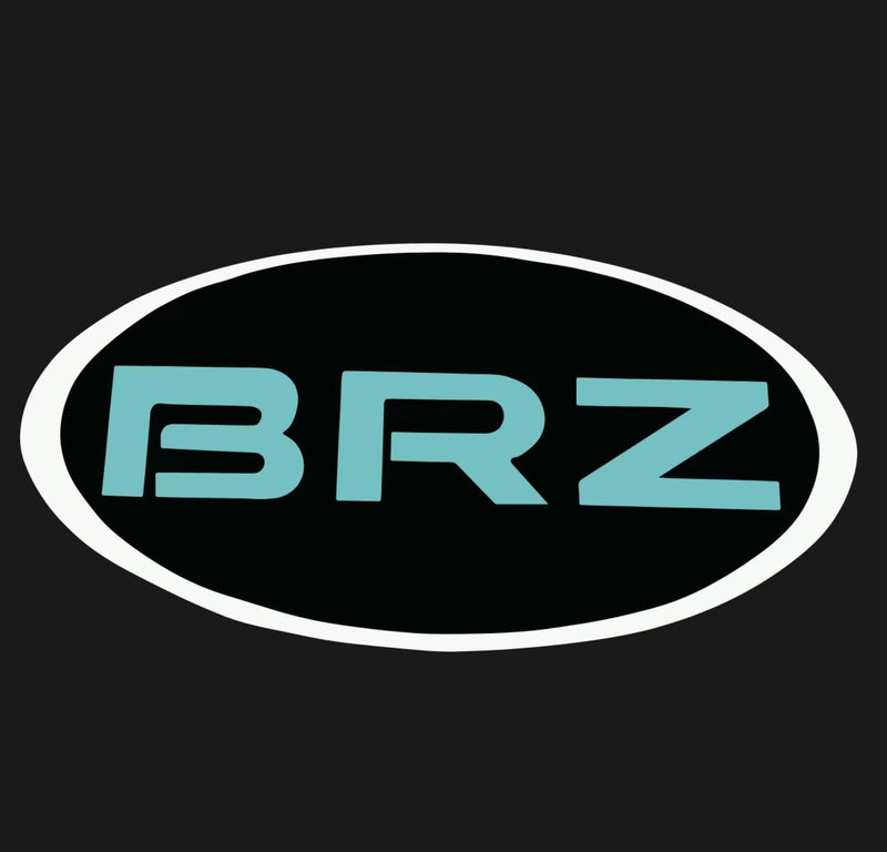 BRZ LOGO PROJECROTR LIGHTS Nr.03 (quantità 1 = 1 set/2 luci porta) 