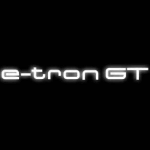 AUDI E-TRON GT LOGO PROJECTOT LIGHTS Nr.3711 