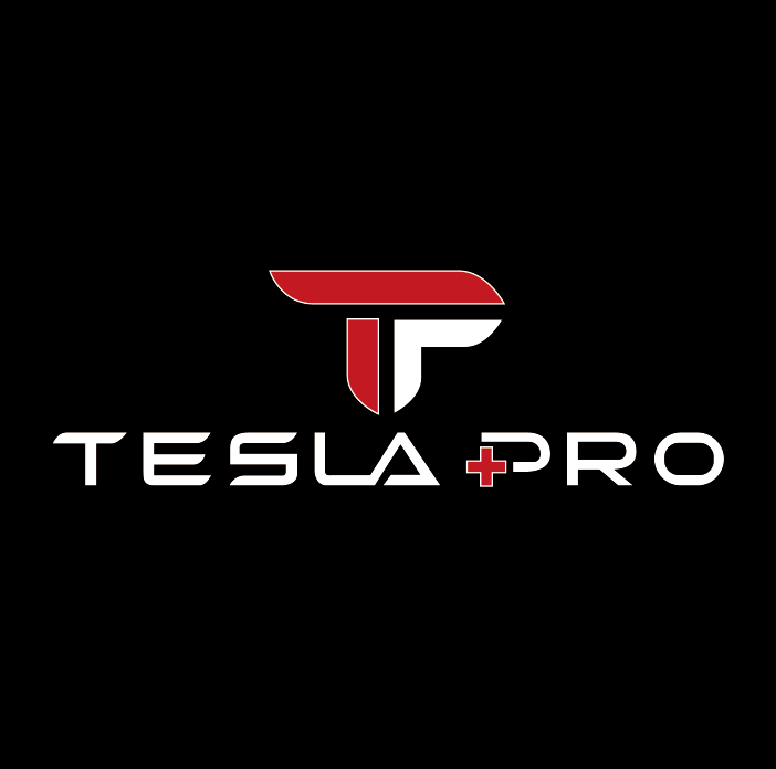 TESLA PRO LOGO PROJECROTR LIGHTS Nr.1530 (quantità 1 = 2 pellicole logo / 2 luci porta)