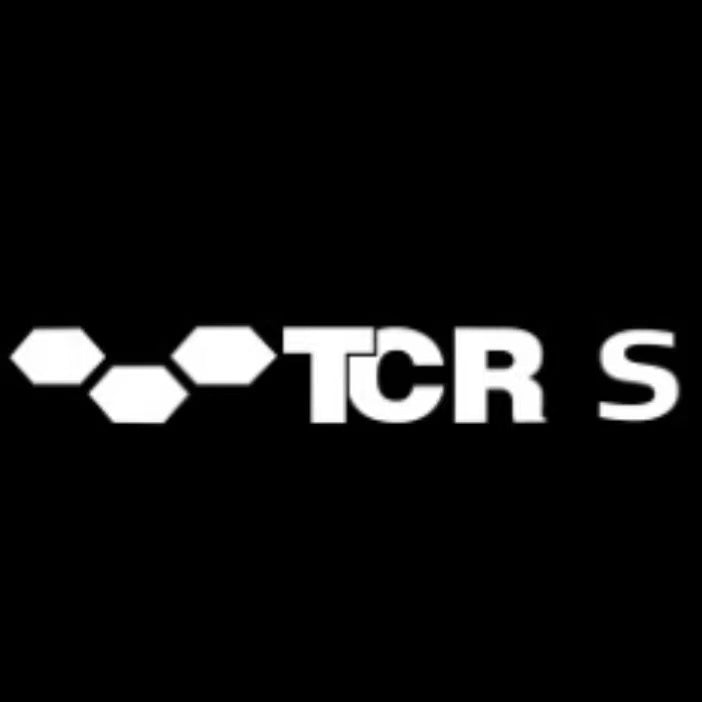 Volkswagen Türleuchten TCR Logo Nr.0205 (Menge 1 = 2 Logofolien /2 Türleuchten) 