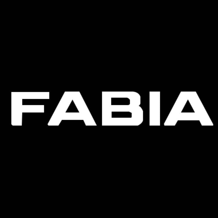 SKODA FABIA 6 Y LOGO PROJECTOT LIGHTS Nr.19 (Menge 1 = 2 Logofolien /2 Türleuchten）