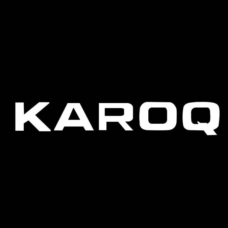 SKODA  KAROQ LOGO LIGHTS Nr.115 (quantity  1 =  2 Logo Film /  2 door lights)