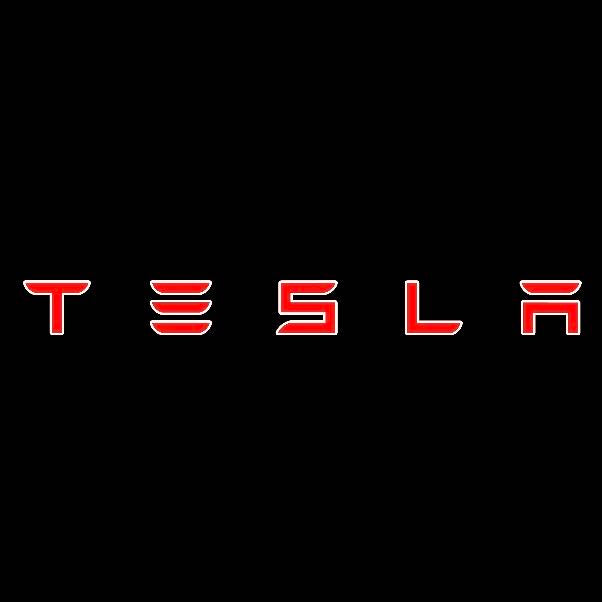 TESLA LOGO PROJECROTR LIGHTS Nr.1504 (quantità 1 = 2 pellicole logo / 2 luci per porta)