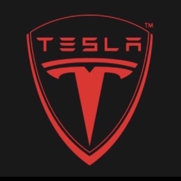 TESLA LOGO PROJECROTR LIGHTS Nr.1507 (Menge 1 = 2 Logofolie / 2 Türleuchten)