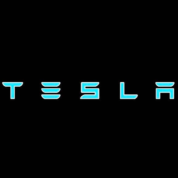 TESLA LOGO PROJECROTR LIGHTS Nr.1503 (Menge 1 = 2 Logofolie / 2 Türleuchten)