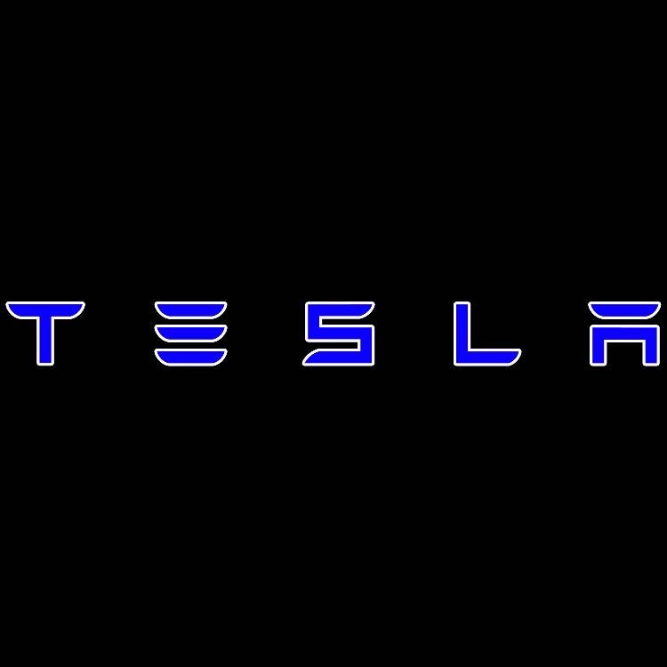 TESLA LOGO PROJECROTR LIGHTS Nr.1502 (quantità 1 = 2 pellicole logo / 2 luci per porta)