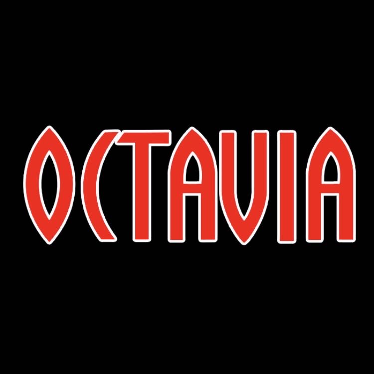 SKODA OCTAVIA LOGO PROJECTOT LIGHTS Nr.101 (quantità 1 = 2 pellicole logo / 2 luci porta)