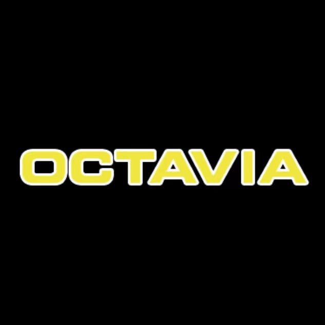 SKODA OCTAVIA LOGO PROJECTOT LIGHTS Nr.105 (quantity  1 =  2 Logo Film /  2 door lights)