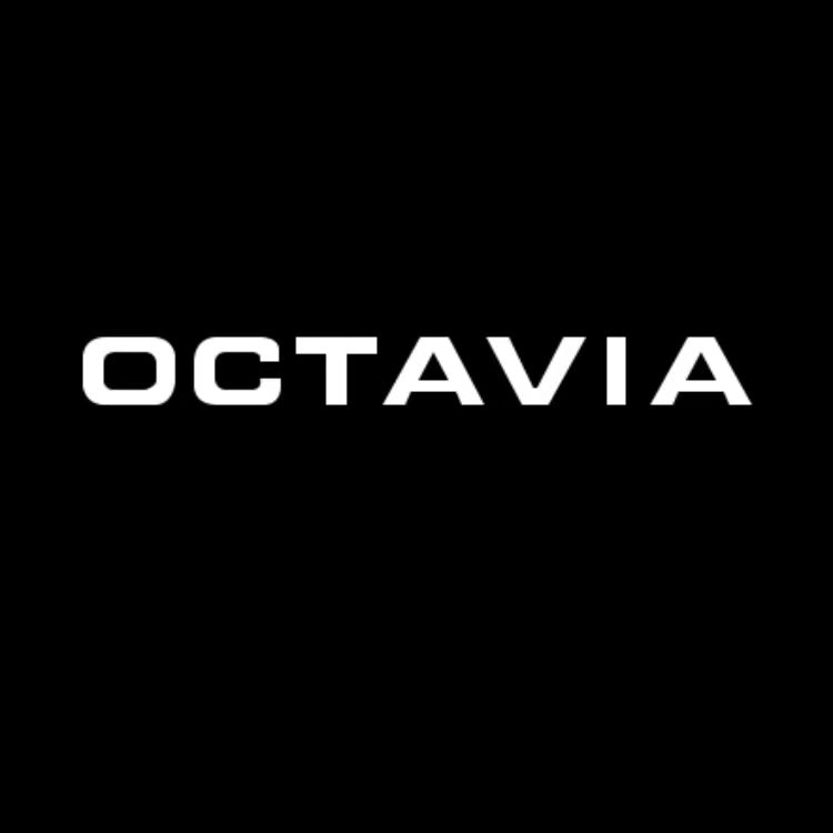 LUCI LOGO SKODA OCTAVIA Nr.108 (quantità 1 = 2 pellicole logo / 2 luci porta)