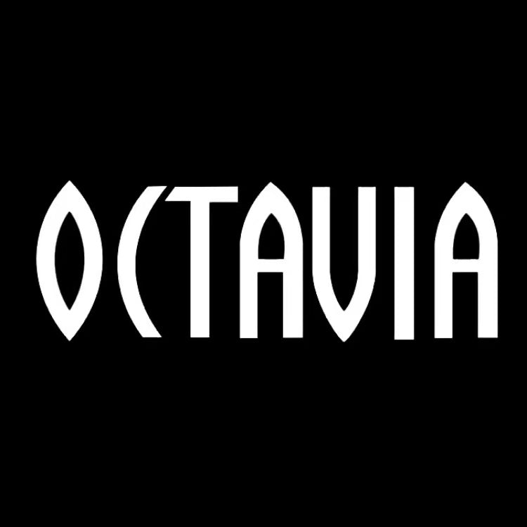 SKODA OCTAVIA LOGO PROJECTOT LIGHTS Nr.83 (quantità 1 = 2 pellicole logo / 2 luci porta)