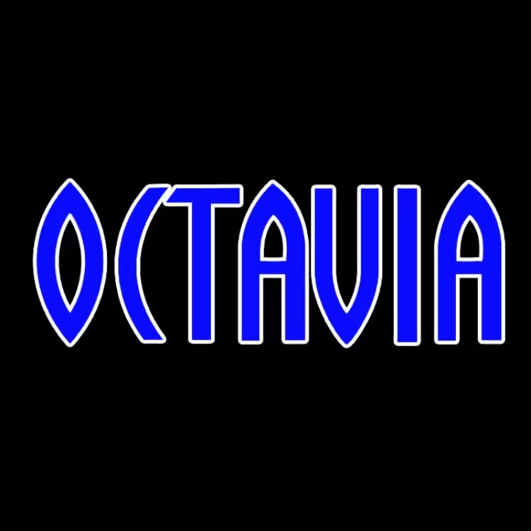 SKODA OCTAVIA LOGO PROJECTOT LIGHTS Nr.102 (quantità 1 = 2 pellicole logo / 2 luci porta)